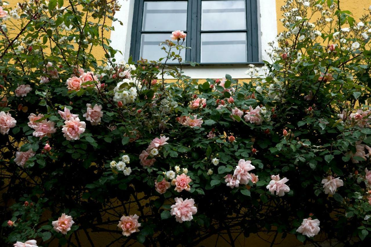 Marienschloessl Bed & Breakfast Wiedendorf Exterior photo
